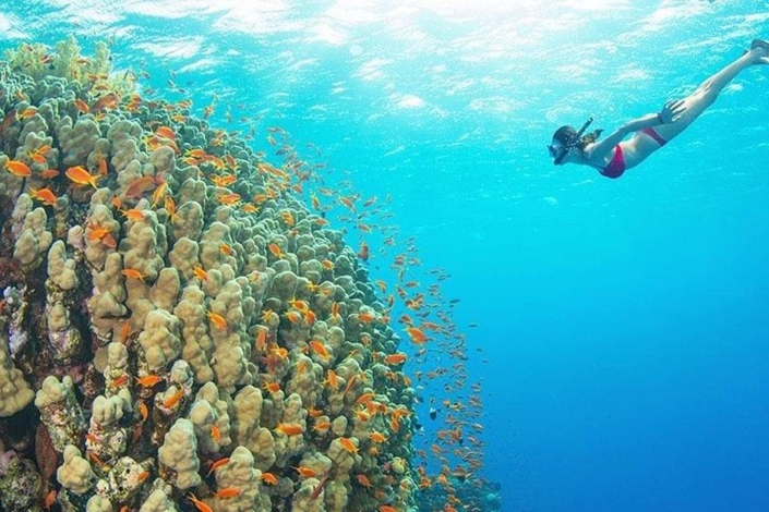 Diving and Snokrkeling duirng the marine tours