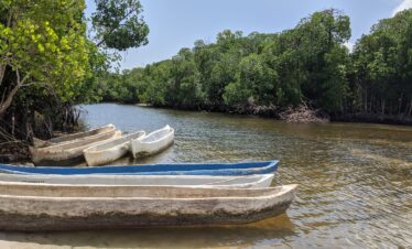 Cannoes next to the bay of Sudi Island in Watamu